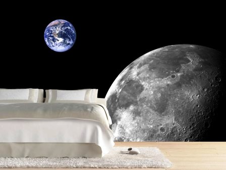 Виниловые фотообои: преимущества и недостатки виниловых фотообоев, особенности их применения